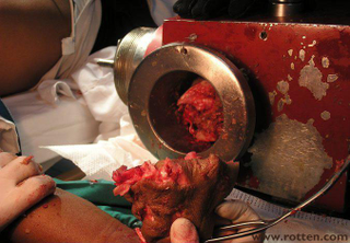 Illustration for article titled Let's Agree to Never Make Meatgrinders Sentient, OK?